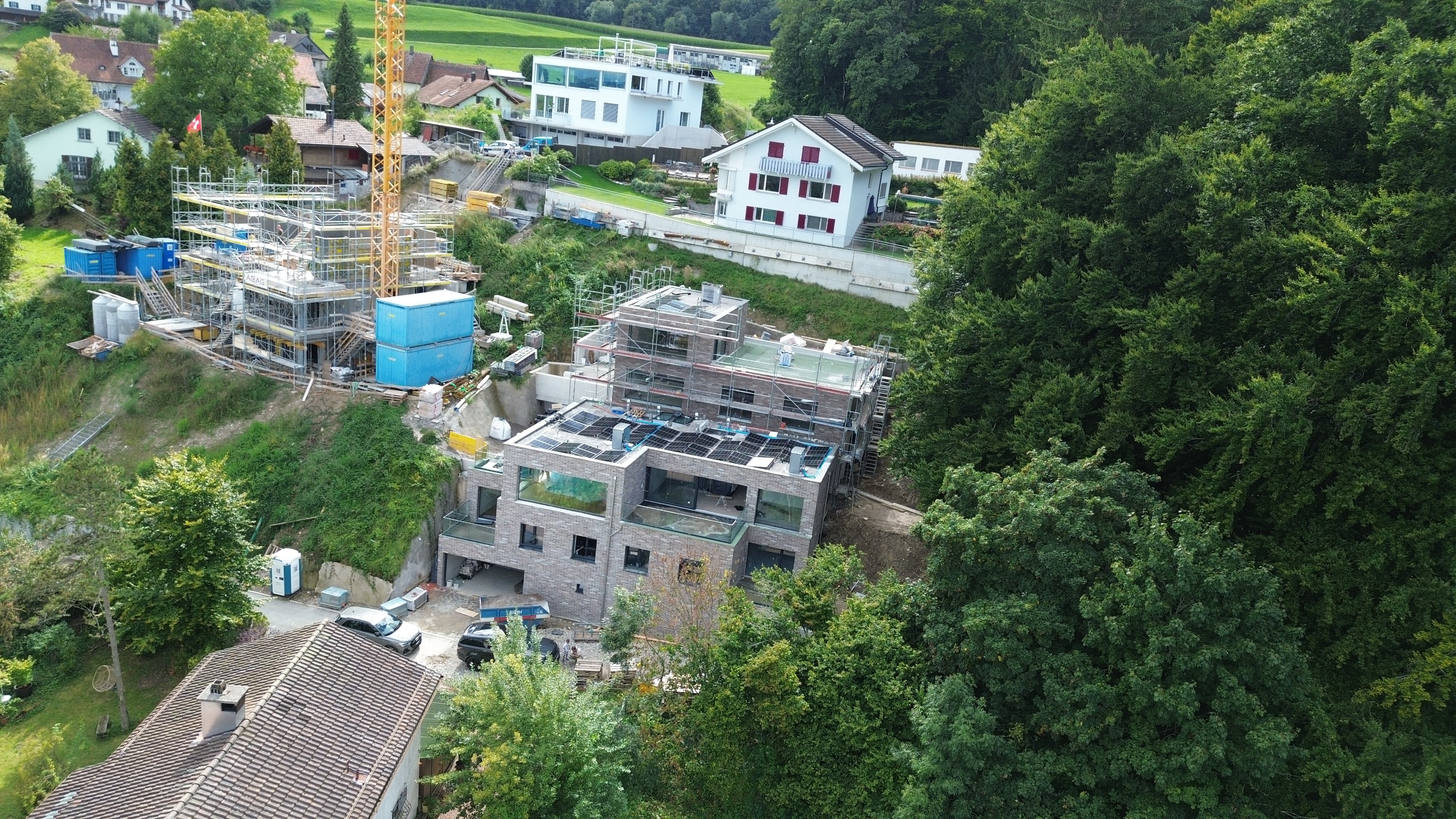 Neubau DEFH und EFH in Bergdietikon
