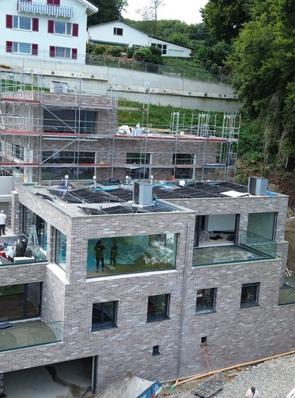 Neubau DEFH und EFH in Bergdietikon