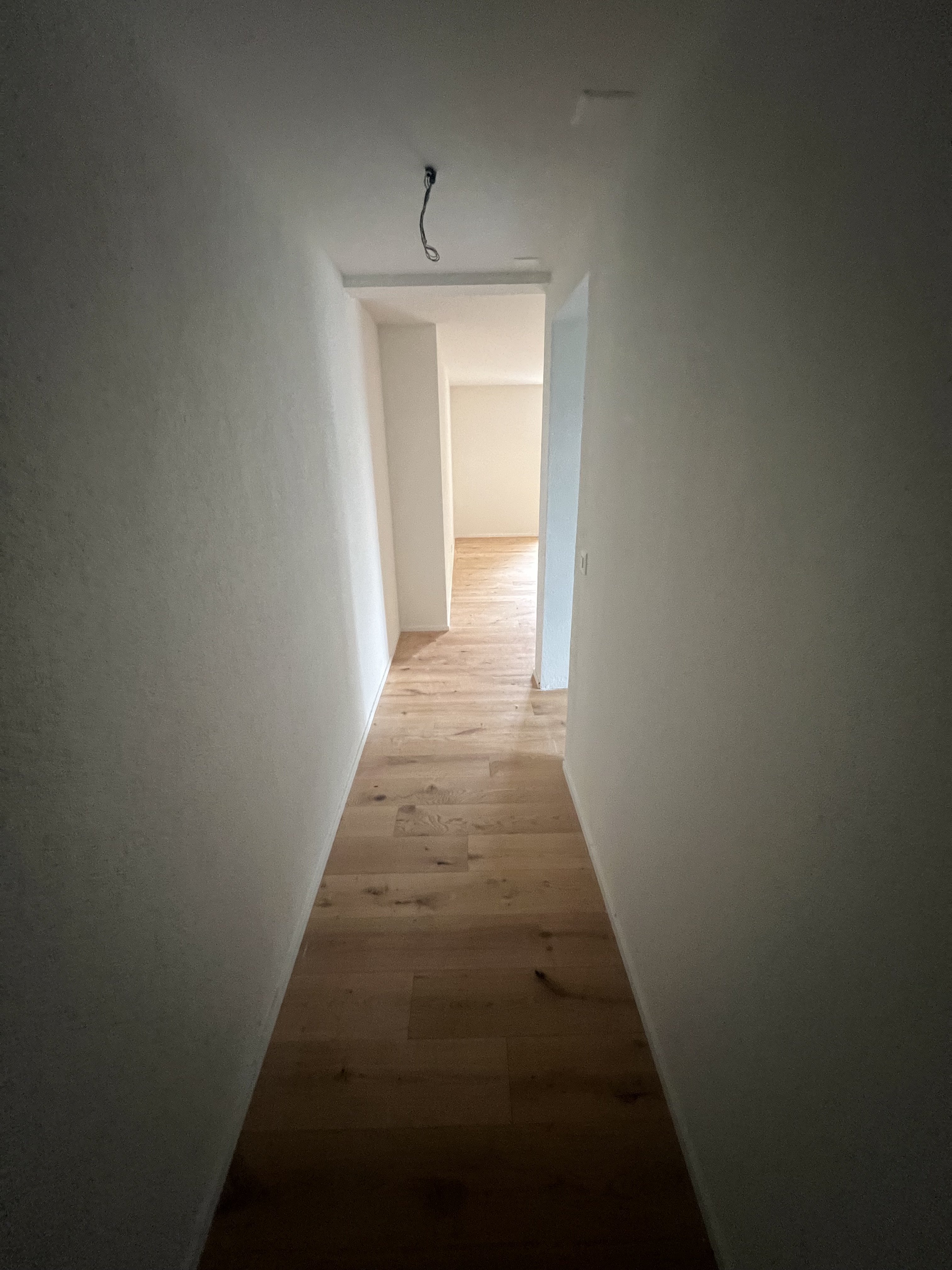 Kernsanierung MFH in Hofstetten