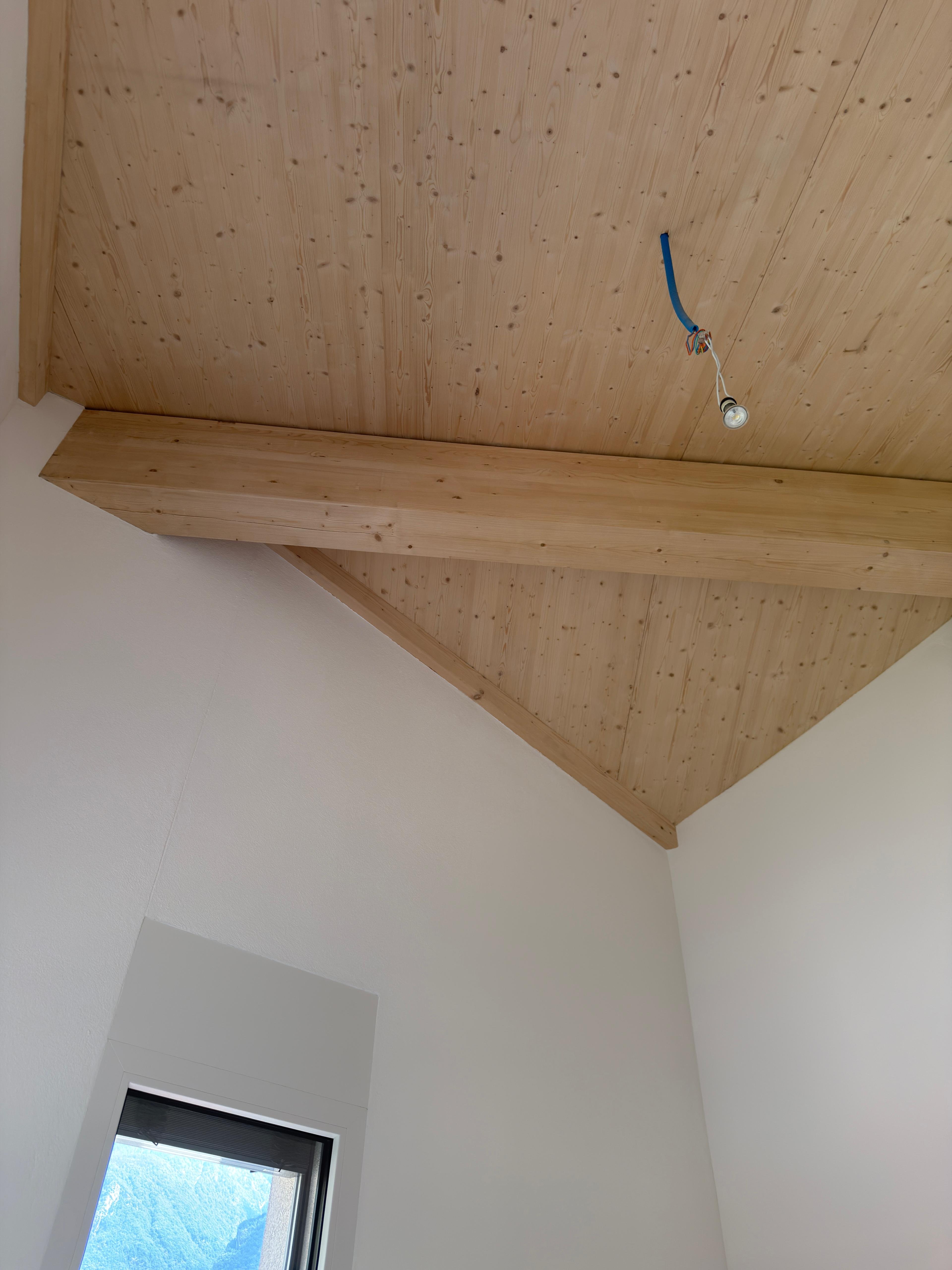 Neubau DEFH und EFH in Roveredo